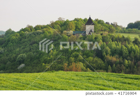 Castle in the forest 41716904