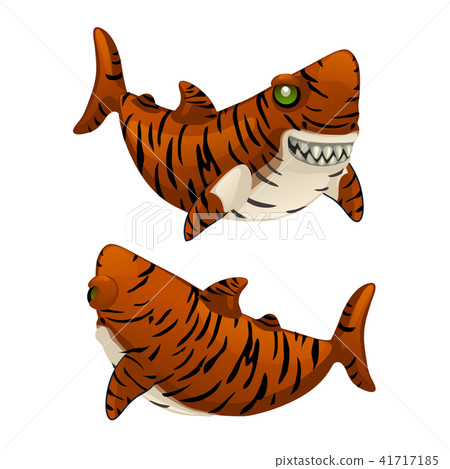 Cartoon tiger shark bares his sharp teeth isolated on white background. Vector illustration. Cartoon tiger shark bares his sharp teeth isolated on white background. Vector illustration. 41717185