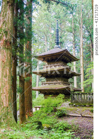 Big cedes and triple towers (vertical) 41717319