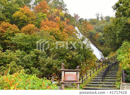 Oshinkoshin瀑布 41717428