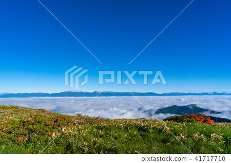 Mikahara Takahara Sea of clouds spreading under the eyes Mikahara Takahara Sea of clouds spreading under the eyes 41717710