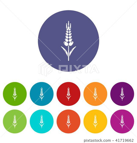 Wheaty wheat icons set vector color 41719662