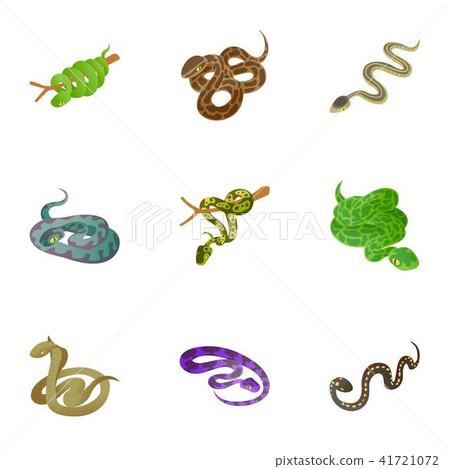Snake icons set, cartoon style 41721072