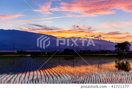Southern Alps Comb Mountain Sunset Southern Alps Comb Mountain Sunset 41721377