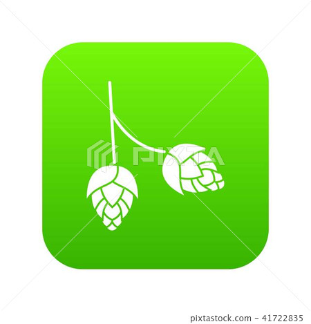 Branch of hops icon digital green 41722835