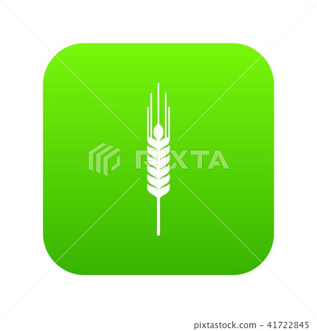 Stalk of ripe barley icon digital green Stalk of ripe barley icon digital green 41722845