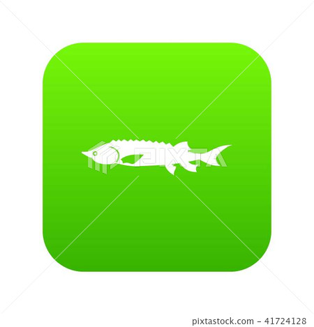 Fresh sturgeon fish icon digital green 41724128