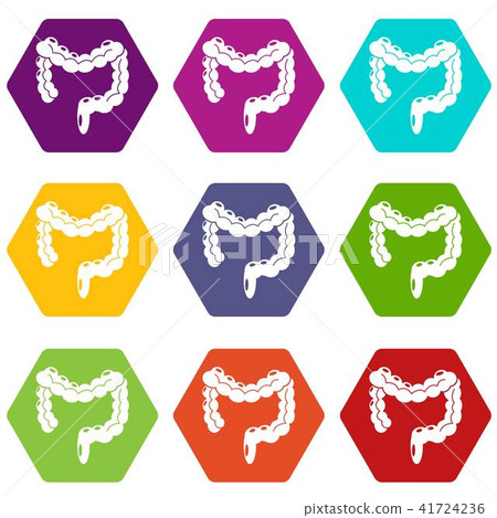 Human large intestine icons set 9 vector 41724236