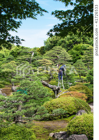 Japanese garden with gardener 41726533