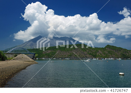Sakurajima Tarumizu City, Kagoshima Prefecture 41726747