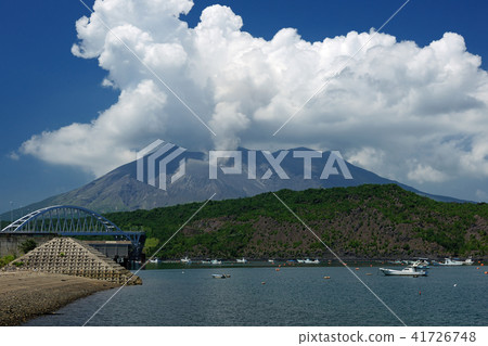 Sakurajima Tarumizu City, Kagoshima Prefecture 41726748