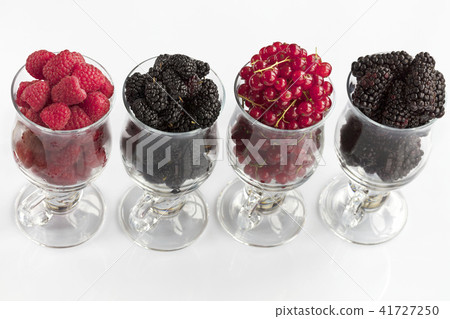 Raspberry black blackberry red currant mulberry Raspberry black blackberry red currant mulberry 41727250