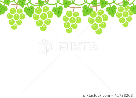 Grape Grape 41728208