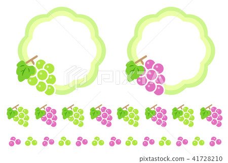 Grape  41728210