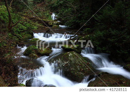 Now from the falls Now from the falls 41728511