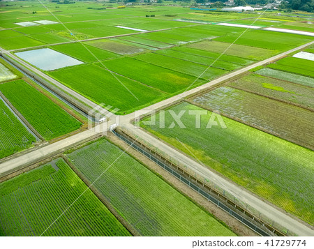 航拍照片Nemen米領域生長米 航拍照片Nemen米領域生長米 41729774