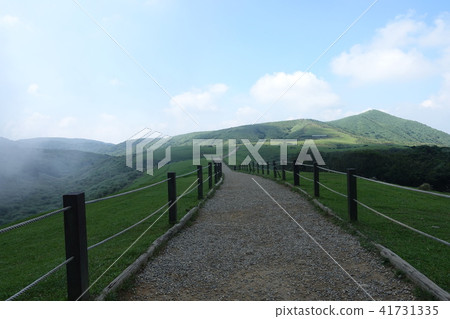 Yangmingshan Qingtiangang (1) 41731335