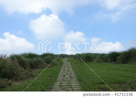 Yangmingshan Qingtiangang (3) 41731336
