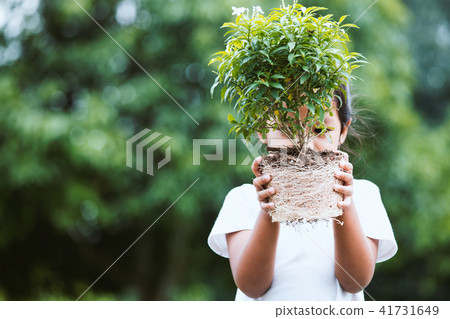Asian girl holding young tree for prepare planting Asian girl holding young tree for prepare planting 41731649