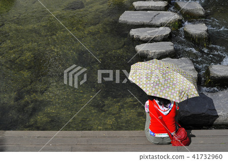Stepping bridge 41732960