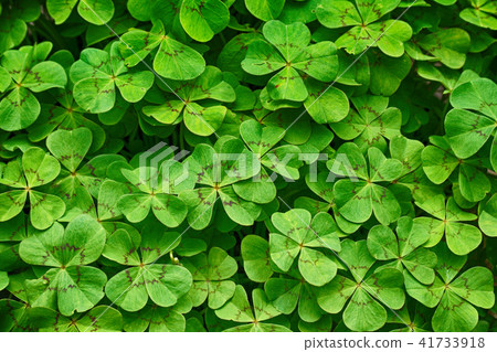 spring green background spring green background 41733918