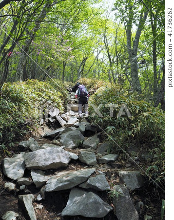赤城山 41736262