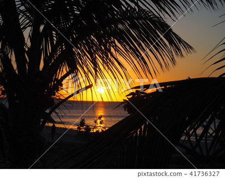 Ovea island of New Caledonia Ovea island of New Caledonia 41736327