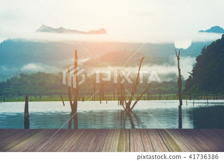 Beautiful images for artistic use. Beautiful images for artistic use. 41736386