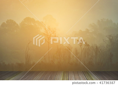 Beautiful images for artistic use. Beautiful images for artistic use. 41736387