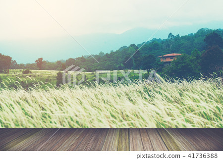 Beautiful images for artistic use. Beautiful images for artistic use. 41736388