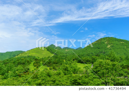 Nikko Kiritokogen 41736494