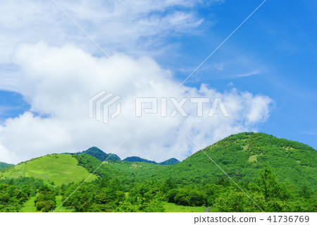 Nikko Kiritokogen 41736769