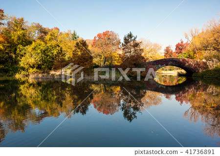 A lake in autumn in central park 41736891