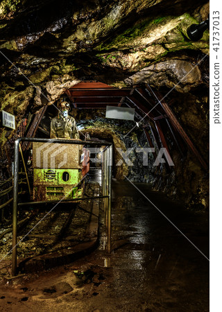 Iino Ginzan 41737013