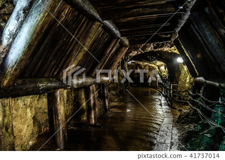 Iino Ginzan 41737014