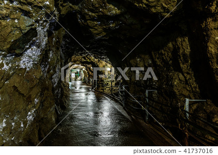 Iino Ginzan 41737016