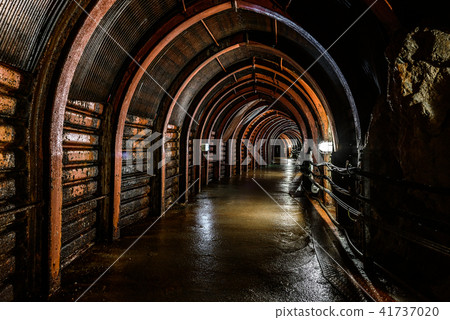 Iino Ginzan 41737020