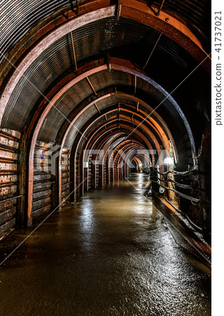 Iino Ginzan 41737021