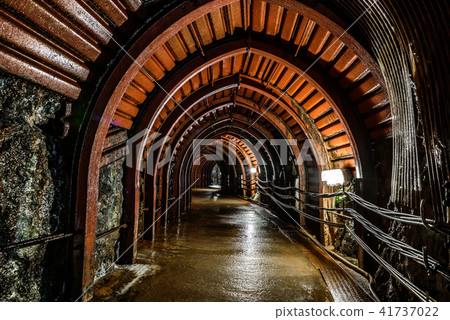 Iino Ginzan 41737022