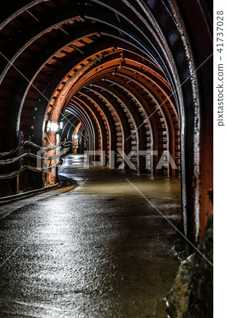 Iino Ginzan 41737028