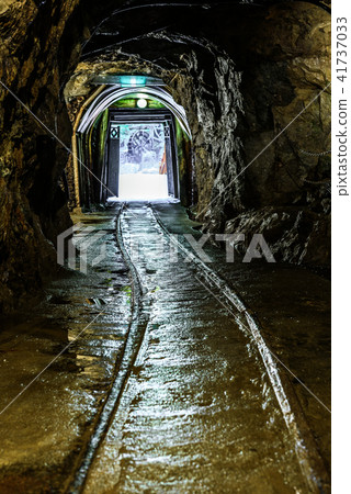 Iino Ginzan 41737033