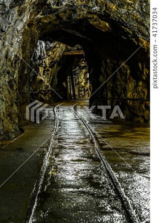 Iino Ginzan 41737034