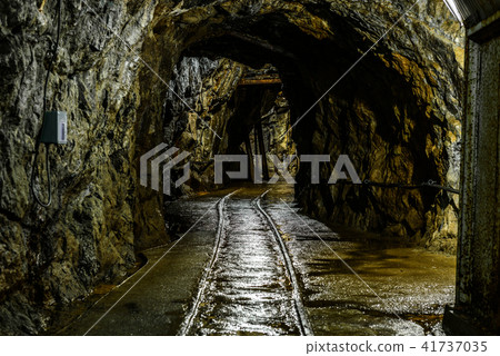 Iino Ginzan 41737035