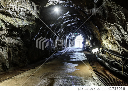 Iino Ginzan 41737036