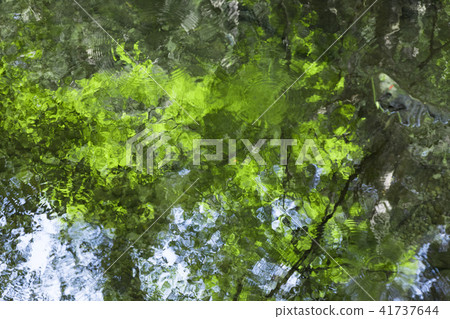 在河反映的新綠色 41737644