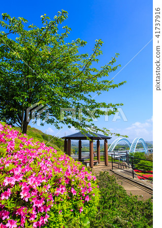 Shinsaikai Bridge and Azalea [Saikai City, Nagasaki Prefecture] 41737916