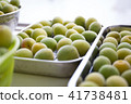 Creating plum wine in 2018 Window sunny fresh plum at the window 41738481