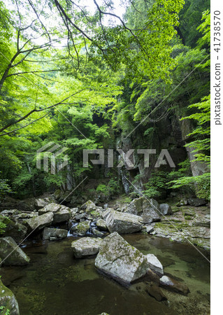 新鮮的綠色紅眼睛谷 新鮮的綠色紅眼睛谷 41738570
