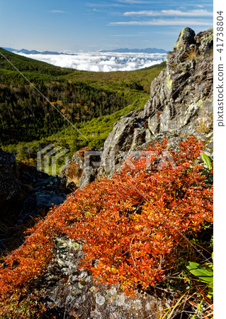 View of autumn leaves and central alps of Kita Yatsugatake / Mitsutake 41738804