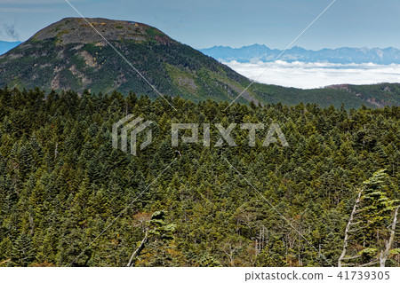 從Kita Yatsugatake / Kita-Yokodake觀看Tateshina山和北阿爾卑斯山/ Shindayama 41739305